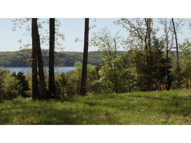 Tbd Diamond View, Kimberling City, MO 65686 - photo 4