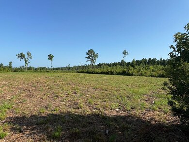 Off Straight Rd unit LotWP001, Oriental, NC 28571 - photo 6