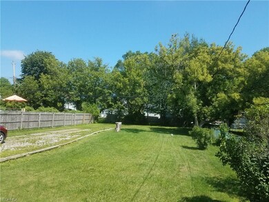 Beautiful back yard