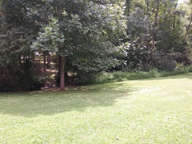 110 Basil Ct, Franklin, TN 37064 - photo 4