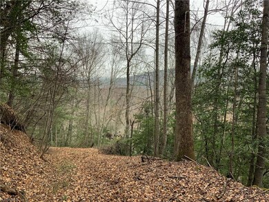 TBD Fall Creek Rd Fall Creek Rd, Purlear, NC 28665 - photo 7