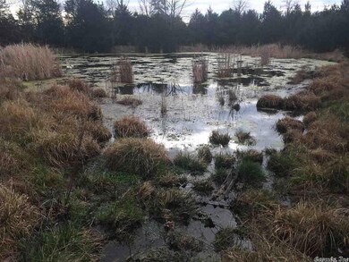 Year Round Spring Flowing Into Pond