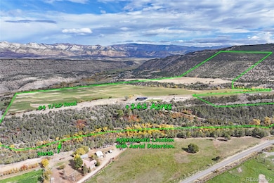 12471 54 7 10 Rd, Collbran, CO 81624 - photo 5