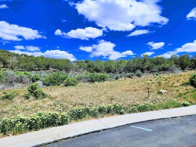 605 & 615 SE Pine St, Cedaredge, CO 81413 - photo 3