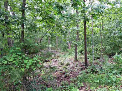 Lot 43 Whippoorwill Ln, 4, Newport, VA 22835 - photo 2