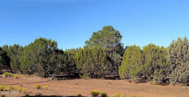 image000005-1