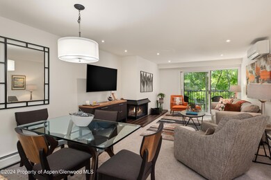 205 E Durant Ave unit 3-F, Aspen, CO 81611 - photo 3