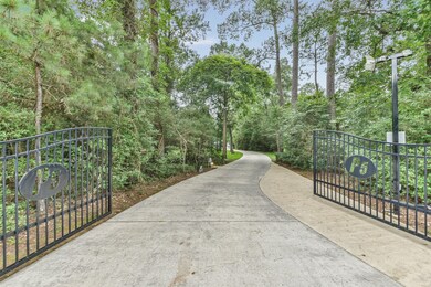 30403 S Holly Oaks Cir, Magnolia, TX 77355 - photo 3