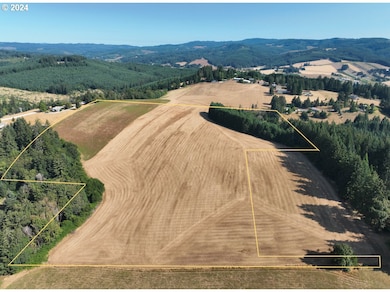 45035 NW Star St, Banks, OR 97106 - photo 6