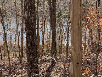 375 Riverwalk Trail, Pittsboro, NC 27312 - photo 7