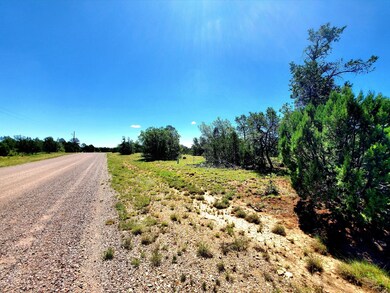 8571 Haven Crest Dr, Blue Ridge, AZ 86024 - photo 5