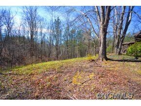 Left side yard