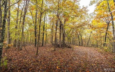 2 Lodge Rd, Bourbon, MO 65441 - photo 3