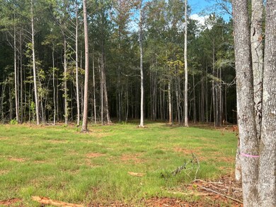 0 Reese Rd unit 25651133, Rutledge, GA 30663 - photo 6