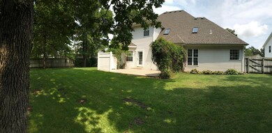 Back Yard (2)