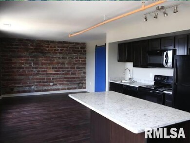 501 15th St unit 304, Moline, IL 61265 - photo 3