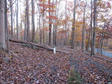 10 Rodes Valley Dr unit 10, Nellysford, VA 22958 - photo 2