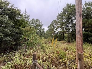 31 Amber Ridge, Shawnee, OK 74801 - photo 4