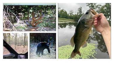 471302 E 923 Rd, Stilwell, OK 74960 - photo 3