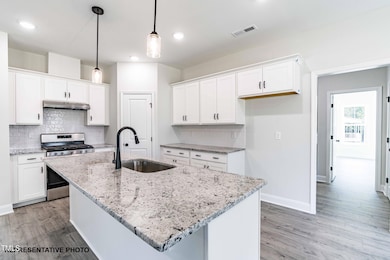 218 Fish Camp Dr, Wendell, NC 27591 - photo 3