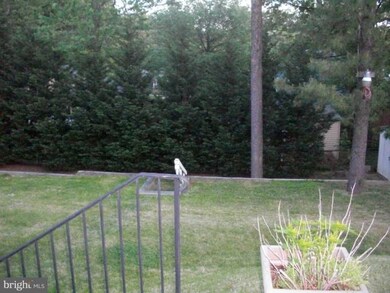 7317 Oakcrest Dr, New Carrollton, MD 20784 - photo 3