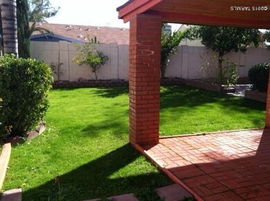 Lush Backyard
