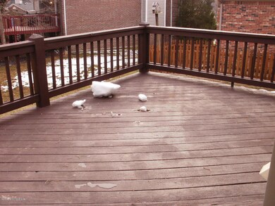 6912 Nansen Trace, Louisville, KY 40228 - photo 6