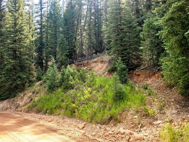 Road & Lot1