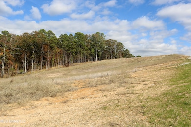 Tract 1 Hugh White State Park Road-3