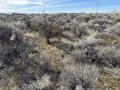 0 Aspen unit 20800, Christmasvalley, OR 97641 - photo 2