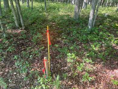 693 Club House Dr, Lackawaxen Township, PA 18428 - photo 3