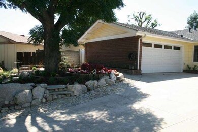 Front Yard View of Fresh New Landscaping