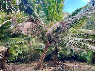 0 Ha'Eha'e St unit 718347, Naalehu, HI 96772 - photo 4