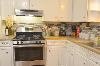 The Gas Range and Vent-a-Hood.