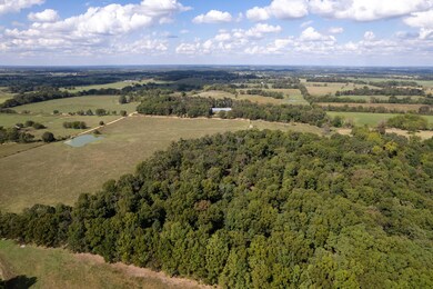 03 Carnell Rd, Rocky Comfort, MO 64861 - photo 6