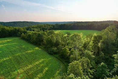 135 Hoon Rd, Butler, PA 16001 - photo 3