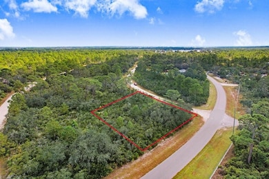 1177 Lake Hill Dr, Lake Placid, FL 33852 - photo 6