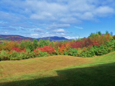 133 Snowood Dr unit D4, Thornton, NH 03285 - photo 2