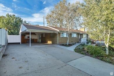 Ranch-style home featuring driveway, a carport, brick siding, and a shingled roof
