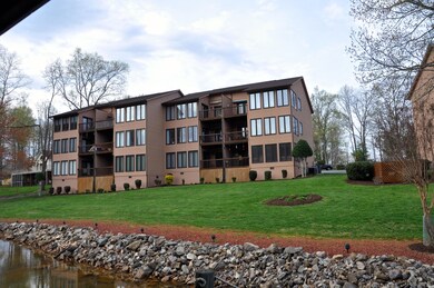 View from the Lake