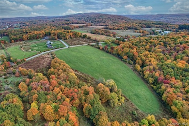 1830 Bruzgul Rd, Lagrangeville, NY 12540 - photo 4