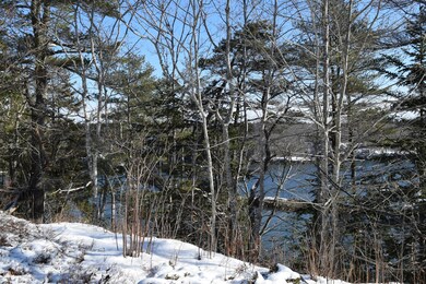 DSC_0958 - Copy