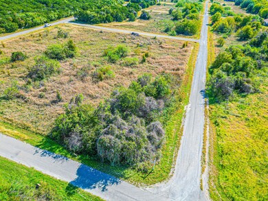 22143 Stanwood Dr & Westmeadow Dr, Whitney, TX 76692 - photo 4