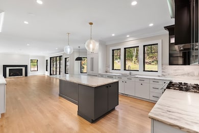 957 South St, Needham, MA 02492 - photo 6