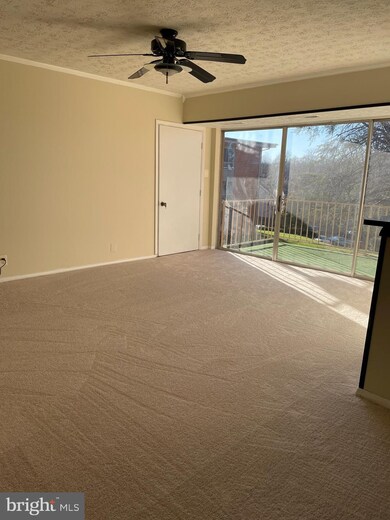 3708 N Rosser St unit 103, Alexandria, VA 22311 - photo 4