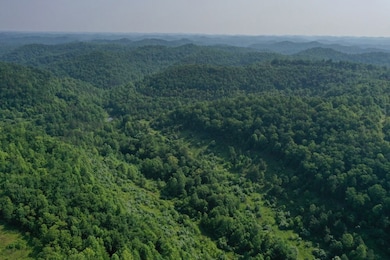 1 Sycamore Fork Rd, Salyersville, KY 41465 - photo 3