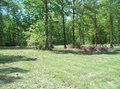 4197 S 82nd Rd, Bolivar, MO 65613 - photo 3