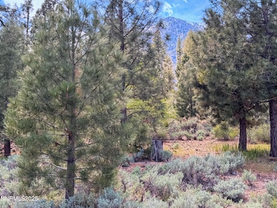 Nature's Edge Lot 1