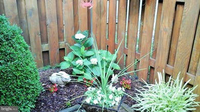 302 Edgemere Dr, Annapolis, MD 21403 - photo 5