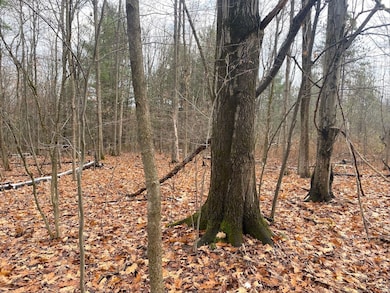 County Road 15, Fillmore, NY 14836 - photo 4